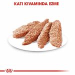 Royal Canin Ccn Exigent Loaf Pate Pouch Küçük Irk Yetişkin Köpek Konservesi 85 Gr - Görsel 3