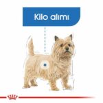 Royal Canin Ccn Mini Light Weight Care Küçük Irk Light Köpek Maması 3 Kg - Görsel 2