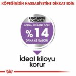 Royal Canin Ccn Mini Sterilised Küçük Irk Kısırlaştırılmış Köpek Maması 3 Kg - Görsel 3