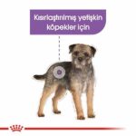 Royal Canin Ccn Sterilised Pouch Kısırlaştırılmış Köpek Konservesi 12 Adet 85 Gr - Görsel 2