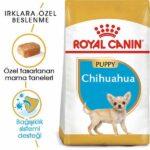 Royal Canin Chihuahua Puppy Yavru Köpek Maması 1,5 Kg - Görsel 2