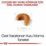 Royal Canin Cocker Spaniel Puppy Yavru Köpek Maması 3 Kg - Görsel 3