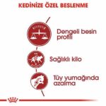 Royal Canin Fit 32 Adult Yetişkin Kedi Maması 400 Gr - Görsel 2