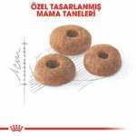 Royal Canin Fit 32 Adult Yetişkin Kedi Maması 400 Gr - Görsel 3