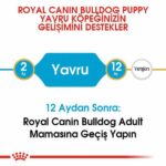 Royal Canin French Bulldog Puppy Yavru Köpek Maması 3 Kg - Görsel 2