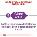Royal Canin Giant Adult Dev Irk Yetişkin Köpek Maması 15 Kg - Görsel 2