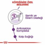 Royal Canin Giant Adult Dev Irk Yetişkin Köpek Maması 15 Kg - Görsel 3