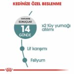Royal Canin Hairball Tüy Yumağı Önleyici Yetişkin Kedi Maması 2 Kg - Görsel 2