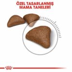 Royal Canin Hairball Tüy Yumağı Önleyici Yetişkin Kedi Maması 2 Kg - Görsel 3