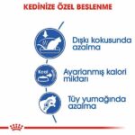 Royal Canin Indoor 27 Evde Yaşayan Yetişkin Kedi Maması 400 Gr - Görsel 3