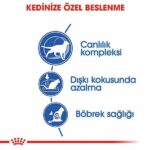 Royal Canin İndoor 7+ Evde Yaşayan Yaşlı Kedi Maması 3,5 Kg - Görsel 3