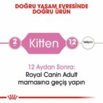 Royal Canin Kitten Yavru Kedi Maması 4 Kg - Görsel 3