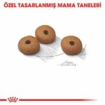 Royal Canin Light Weight Düşük Kalorili Light Kedi Maması 8 Kg - Görsel 2