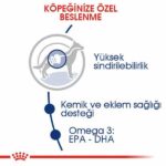 Royal Canin Maxi Adult Büyük Irk Yetişkin Köpek Maması 15 Kg - Görsel 2