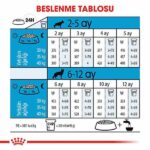 Royal Canin Maxi Puppy Büyük Irk Yavru Köpek Maması 15 Kg - Görsel 2