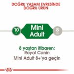 Royal Canin Mini Adult Küçük Irk Yetişkin Köpek Maması 4 Kg - Görsel 2