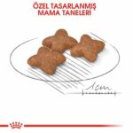 Royal Canin Mini Adult Küçük Irk Yetişkin Köpek Maması 4 Kg - Görsel 3