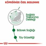 Royal Canin Mini Ageing 12+ Pouch Yaşlı Köpek Konservesi 85 Gr - Görsel 3