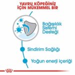 Royal Canin Mini Puppy Küçük Irk Yavru Köpek Maması 2 Kg - Görsel 3