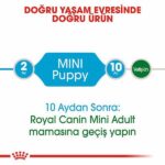 Royal Canin Mini Puppy Küçük Irk Yavru Köpek Maması 4 Kg - Görsel 2