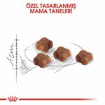 Royal Canin Mother & Babycat Yavru Kedi Maması 400 Gr - Görsel 2