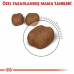 Royal Canin Oral Care Ağız Diş Sağlığı İçin Yetişkin Kedi Maması 1,5 Kg - Görsel 3