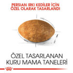 Royal Canin Persian Adult İran Yetişkin Kedi Maması 4 Kg - Görsel 3