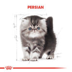 Royal Canin Persian Kitten İran Yavru Kedi Maması 2 Kg - Görsel 2