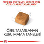 Royal Canin Persian Kitten İran Yavru Kedi Maması 2 Kg - Görsel 3