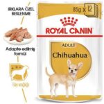 Royal Canin Pouch Chihuahua Adult Yetişkin Köpek Konservesi 85 Gr - Görsel 2