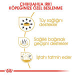 Royal Canin Pouch Chihuahua Adult Yetişkin Köpek Konservesi 85 Gr - Görsel 3