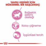 Royal Canin Pouch Kitten Gravy Yavru Kedi Konservesi 12 Adet 85 Gr - Görsel 2