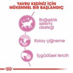 Royal Canin Pouch Kitten Jelly Yavru Kedi Konservesi 12 Adet 85 Gr - Görsel 2