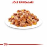 Royal Canin Pouch Kitten Jelly Yavru Kedi Konservesi 12 Adet 85 Gr - Görsel 3