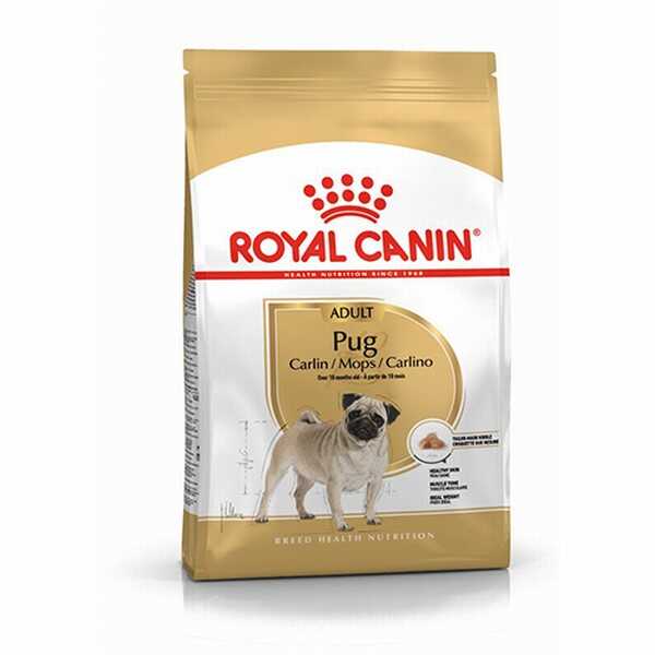 royal-canin-pug-adult-yetiskin-kopek-mamasi-15-kg-yetikin-kpek-mamas-royal-canin-928553-48-B Royal Canin Pug Adult Yetişkin Köpek Maması 1,5 Kg - Görsel 1