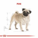 Royal Canin Pug Adult Yetişkin Köpek Maması 1,5 Kg - Görsel 2
