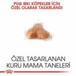 Royal Canin Pug Adult Yetişkin Köpek Maması 1,5 Kg - Görsel 3
