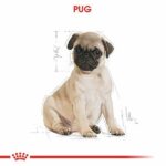 Royal Canin Pug Puppy Yavru Köpek Maması 1,5 Kg - Görsel 2