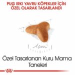 Royal Canin Pug Puppy Yavru Köpek Maması 1,5 Kg - Görsel 3