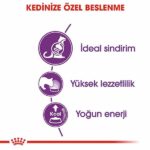 Royal Canin Sensible 33 Hassas Sindirim Sistemi Destekleyici Yetişkin Kedi Maması 4 Kg - Görsel 3