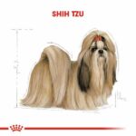 Royal Canin Shih Tzu Adult Yetişkin Köpek Maması 1,5 Kg - Görsel 2