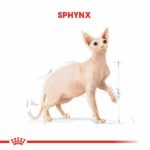 Royal Canin Sphynx Adult Yetişkin Kedi Maması 2 Kg - Görsel 2
