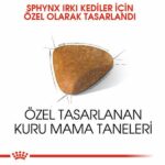 Royal Canin Sphynx Adult Yetişkin Kedi Maması 2 Kg - Görsel 3