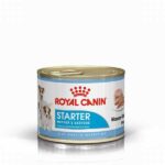 Royal Canin Starter Mother Babydog Yavru Köpek Konservesi 12 Adet 195 Gr