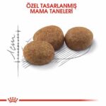Royal Canin Sterilised 37 Kısırlaştırılmış Kedi Maması 400 Gr - Görsel 3