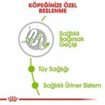 Royal Canin X Small Adult Küçük Irk Yetişkin Köpek Maması 3 Kg - Görsel 3