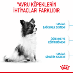 Royal Canin X Small Puppy Küçük Irk Yavru Köpek Maması 1,5 Kg - Görsel 3