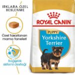 Royal Canin Yorkshire Terrier Puppy Yavru Köpek Maması 1,5 Kg - Görsel 2