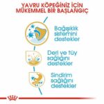 Royal Canin Yorkshire Terrier Puppy Yavru Köpek Maması 1,5 Kg - Görsel 3