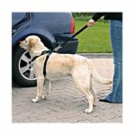 Trixie Köpek Emniyet Kemeri Large 70-90 Cm - Görsel 3